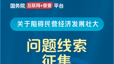 啊啊好深jk国务院“互联网+督查”平台公开征集阻碍民营经济发展壮大问题线索